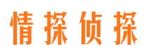 阳新市婚外情调查